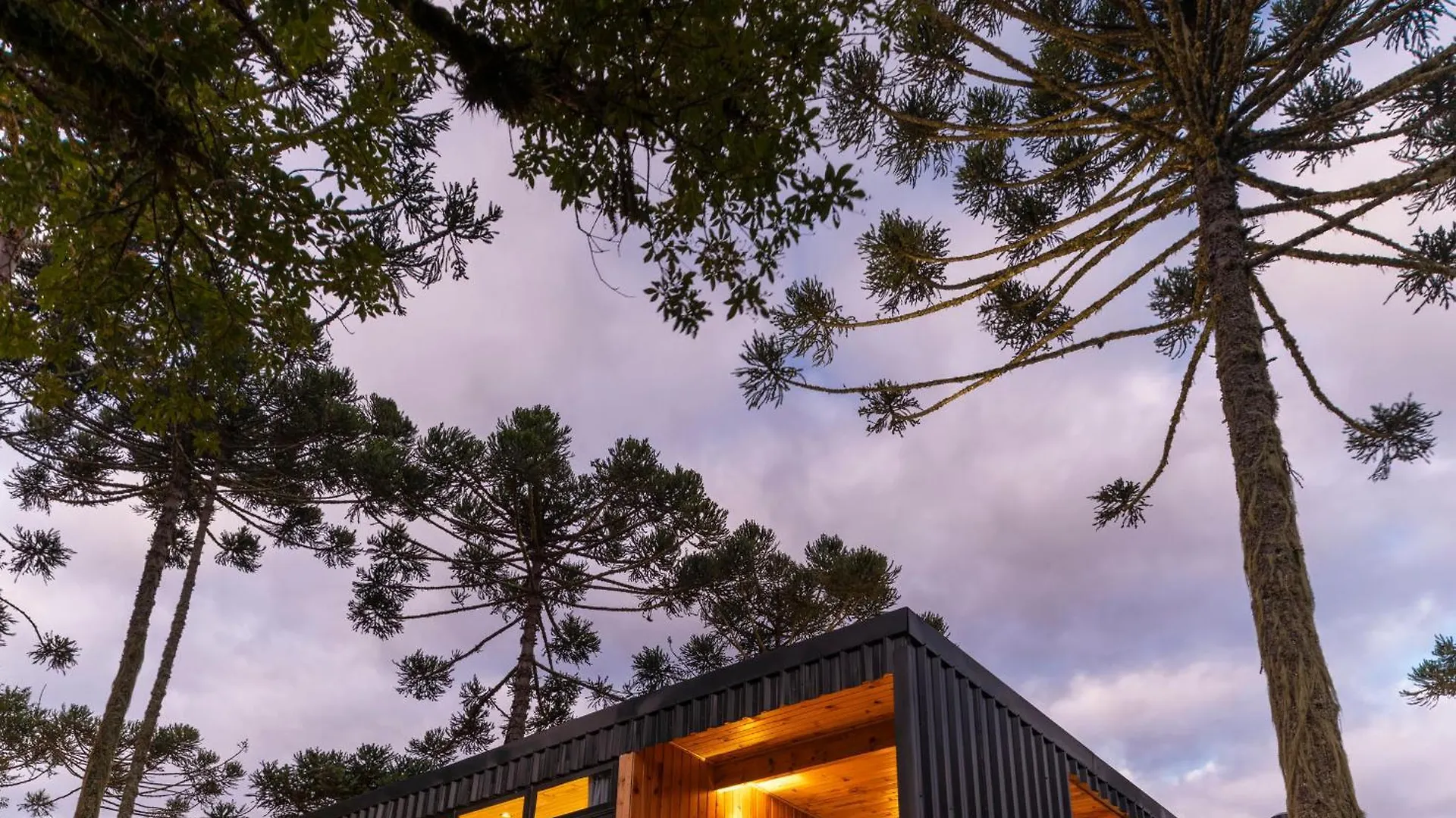بيت للعطل Vivenda Das Araucarias - Refugio Serra Catarinense Rio Rufino البرازيل