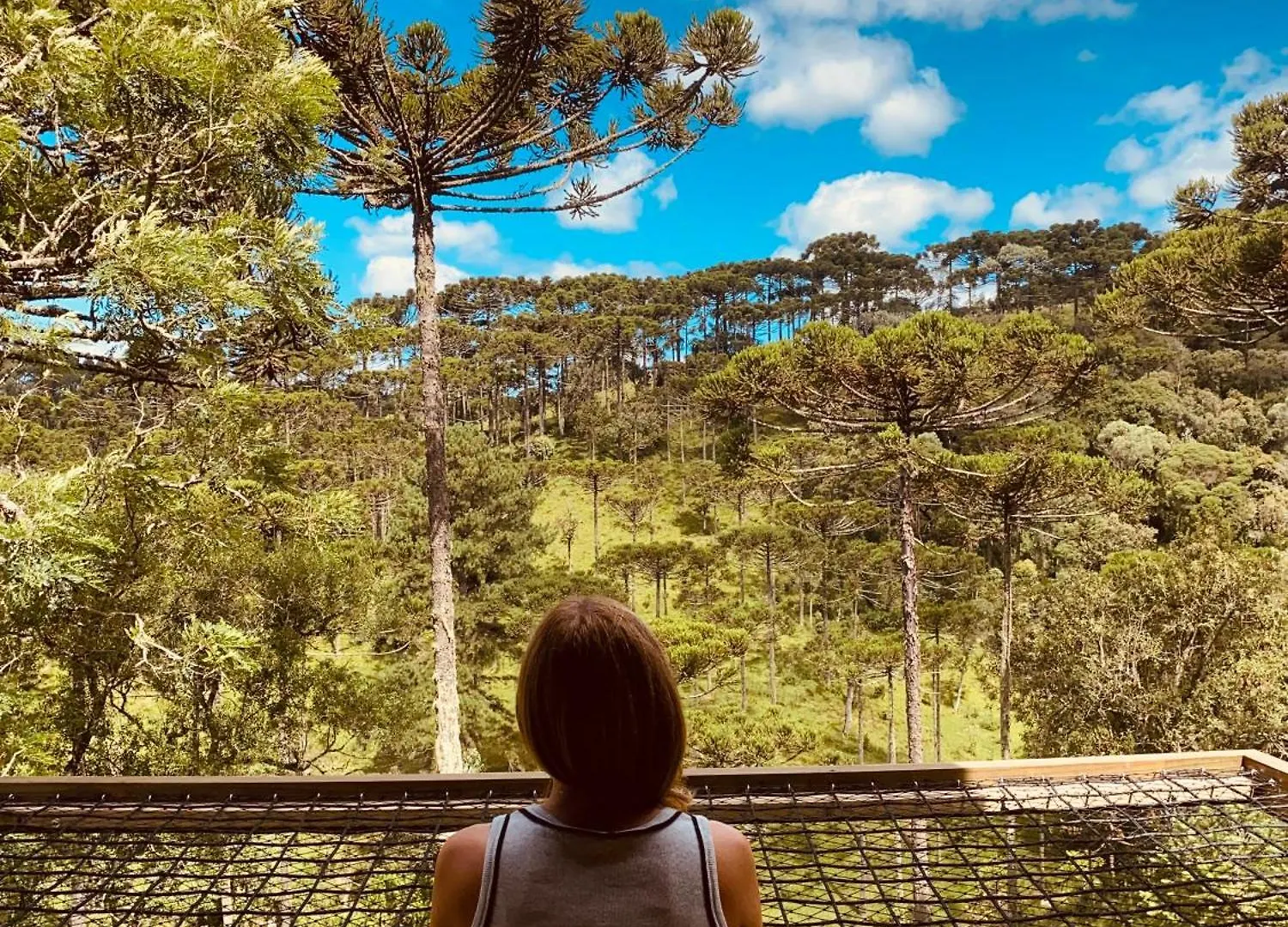 Vivenda Das Araucarias - Refugio Serra Catarinense Rio Rufino 0*,