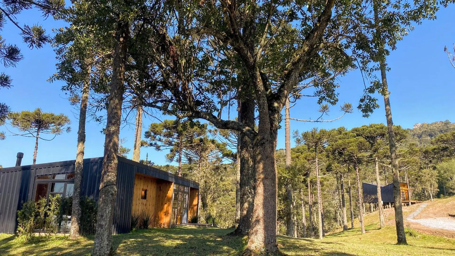 Vivenda Das Araucarias - Refugio Serra Catarinense Rio Rufino Дом отдыха